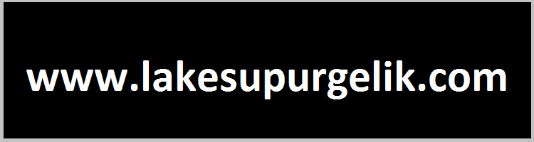 lakesupurgelik.com